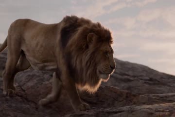 The Lion King 2019 Dub in Hindi thumb